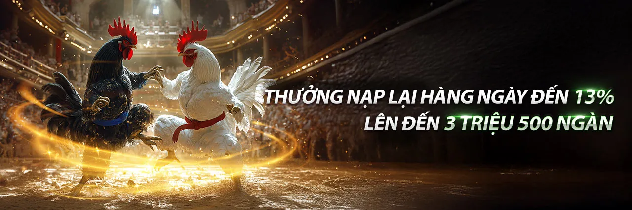 Sân vận động bóng đá với logo Winbet88 và khán giả sôi động